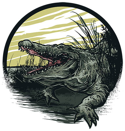Crocodile